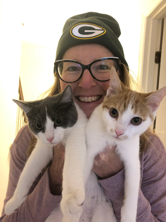 How Do Cats View Owners