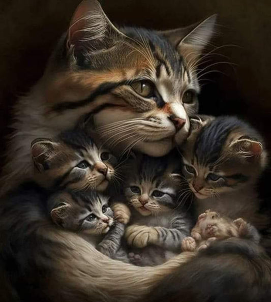 How To Be A Cat Owner With Allergies