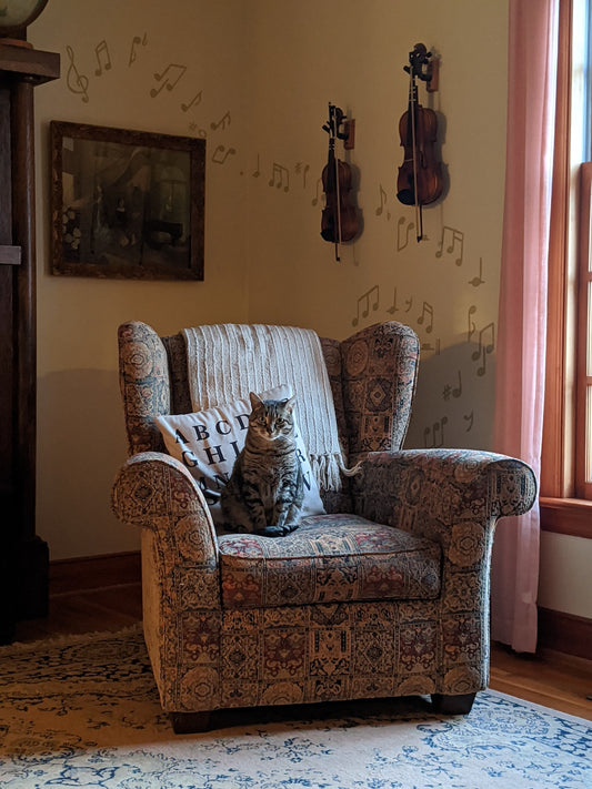 How To Keep Your Cat From Going Outside The House?
