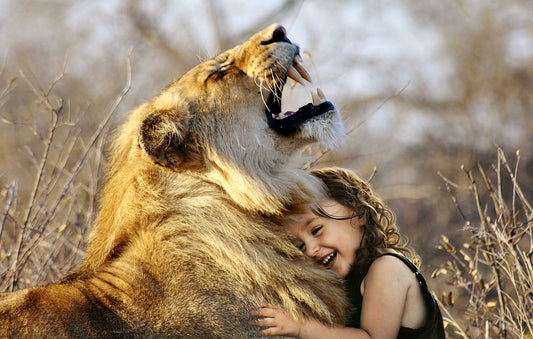 How Cat Recognize Humans