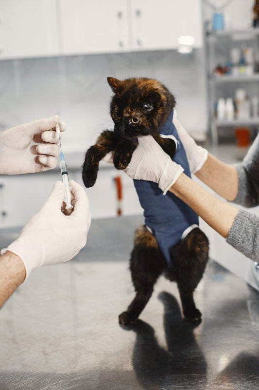 catsforlifeco
