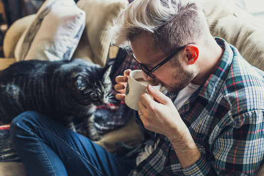 How To Make Your Cat Love You