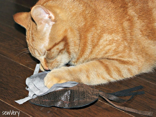 The Psychology Behind Cat Purring and Bonding