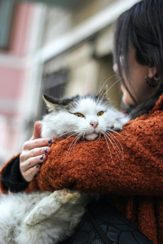 Delight Her with Purr-sonalized Presents: Cat Gifts for Women