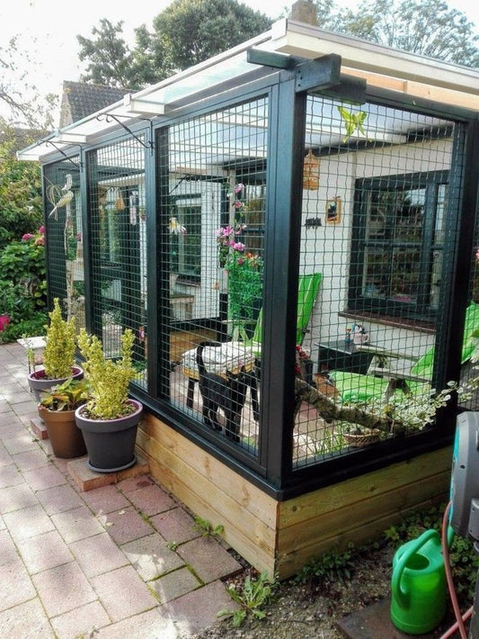 How to Build an Outdoor Cat Enclosure