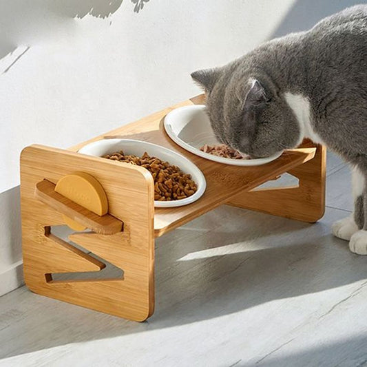 7 Tips for Choosing the Perfect Cat Food and Litter: Health and Hygiene Combined