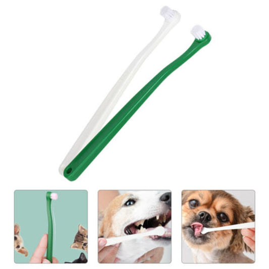 The Best Cat Toothbrushes and Dental Care Products