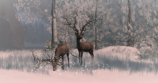 How to Create a Winter Wonderland for Indoor Cats