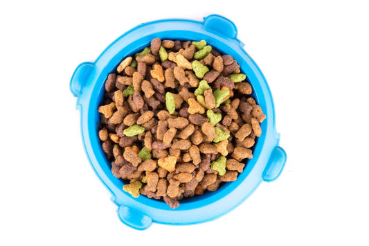 How to Choose the Right Food for Your Kitten