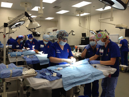 The Importance of Spaying/Neutering Your Cat