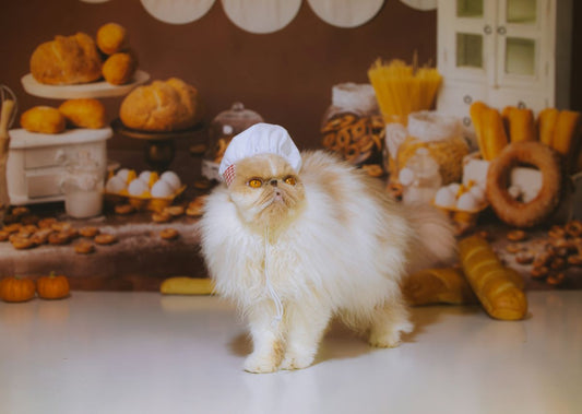Top Food-Inspired Names for Your Male Cat