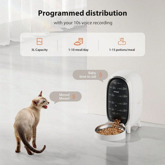 The Best Automatic Feeders for Cats
