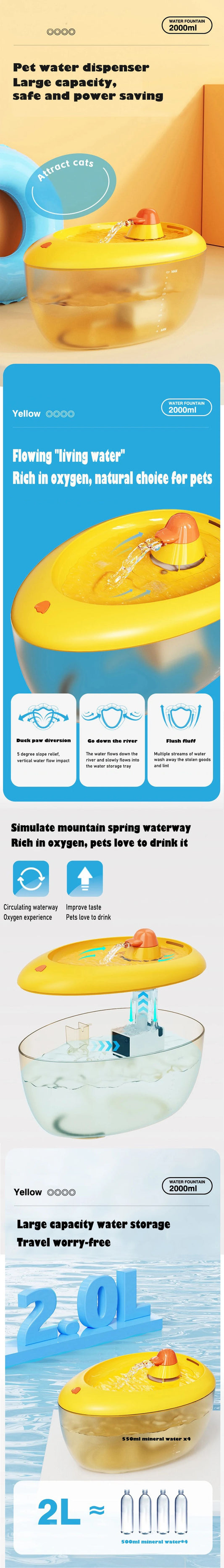 The Importance of Cat Hydration Stations