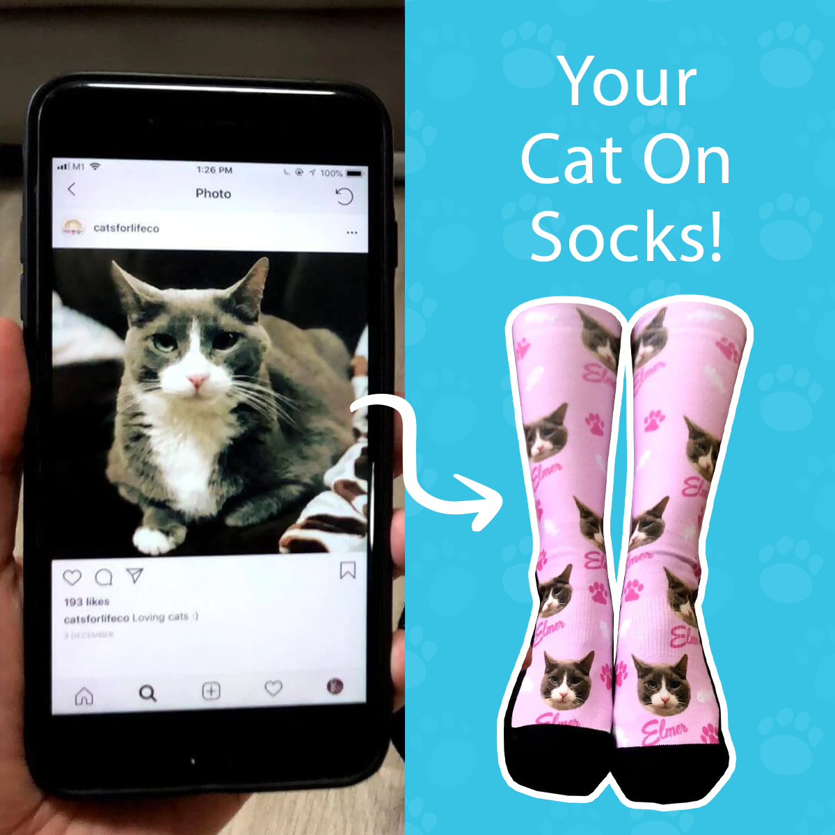 1 Personalized Cat Socks - Put Your Cat On Socks - CatsForLife