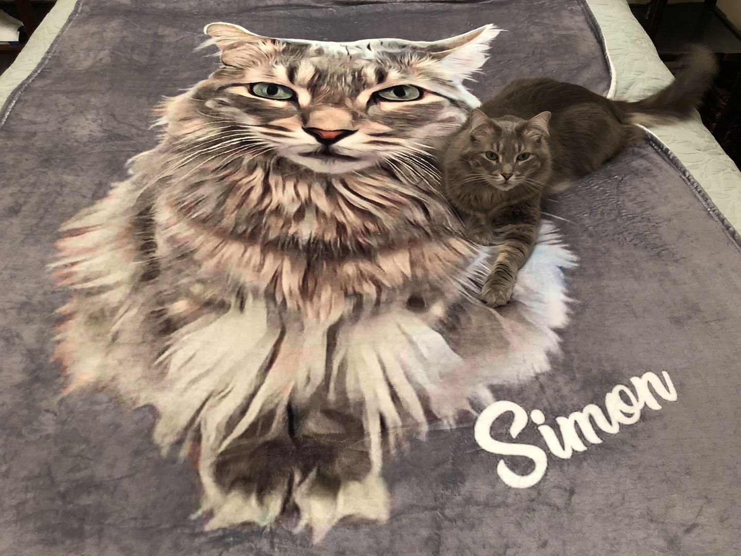 #1 Custom Cat Blanket - Perfect Gift For Cat Lovers