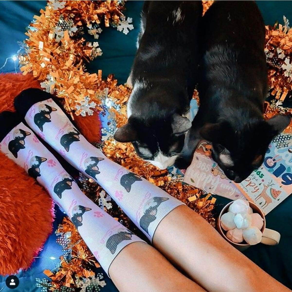 #1 Personalized Cat Socks - Put Your Cat On Socks - CatsForLife