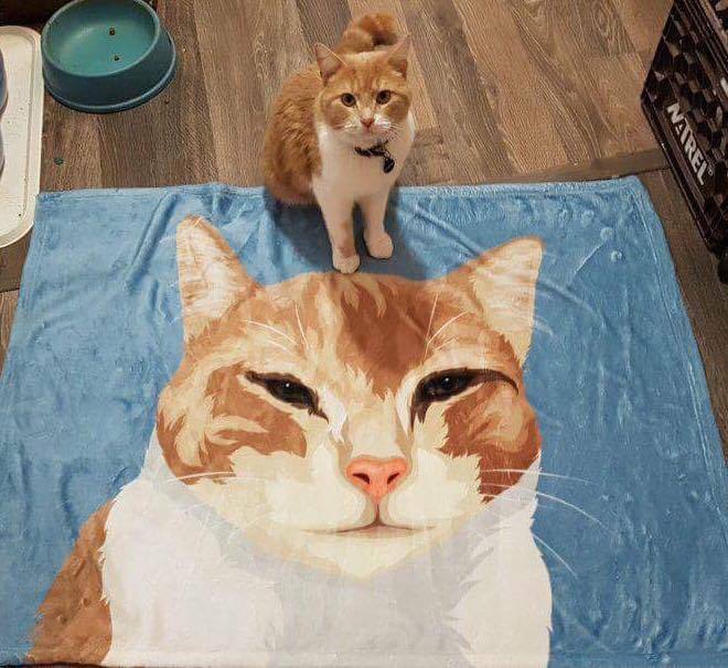 Personalized Cat Fleece Blanket