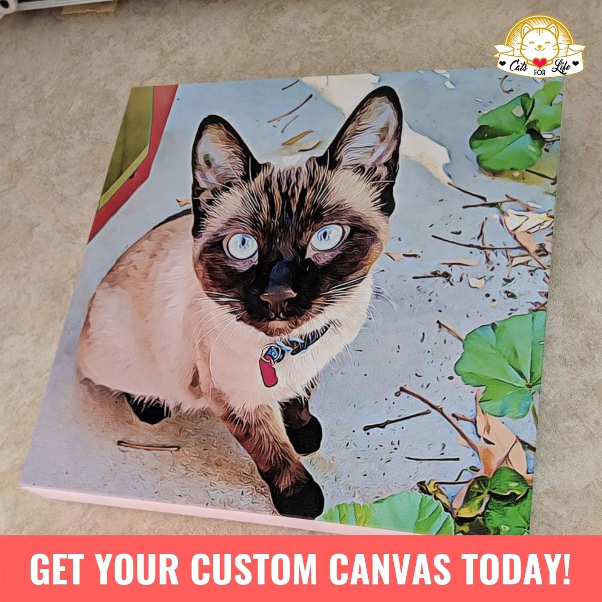 #1 Personalized Memorial Cat Canvas - Keeping Memories Alive