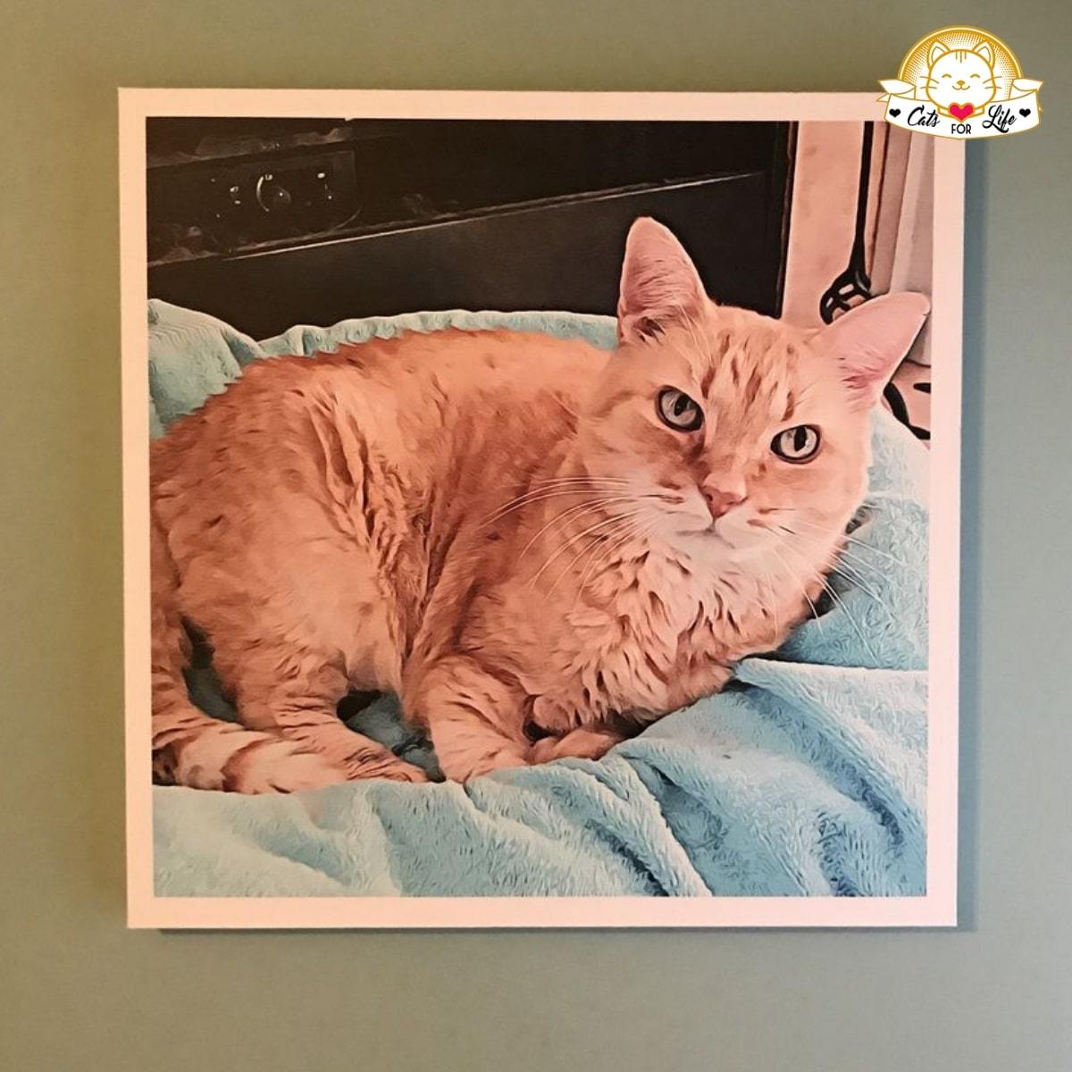 #1 Personalized Memorial Cat Canvas - Keeping Memories Alive