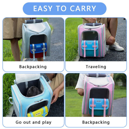 The Best Cat Carriers for Long Distance Travel