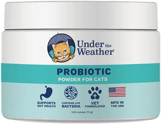 The Role of Probiotics in Cat Health