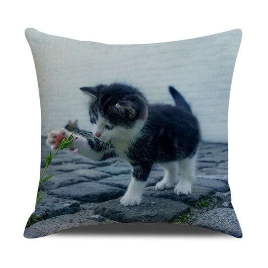 Adorable Personalised Cat Gifts Every Feline Fan Will Cherish