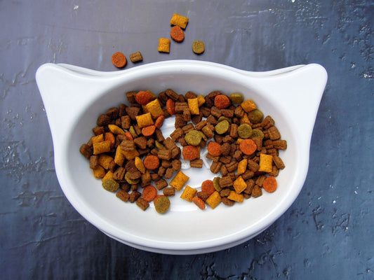 Comparing Top Cat Food Brands: Which is Best for Your Pet?