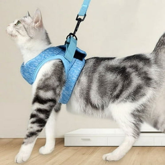 The Best Cat Harnesses for Safe Outdoor Walks