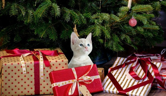 Tips for Keeping Your Cat Safe During Holidays