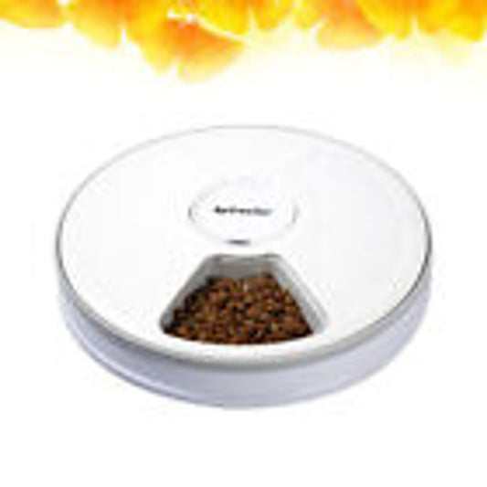 Innovative Cat Feeding Solutions to Promote Health