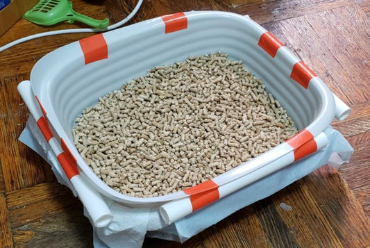 The Ultimate Guide to Cat Litter: Types and Brands Compared